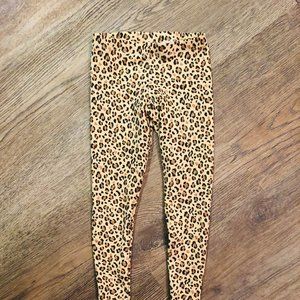 cheetah  animal print  tights
